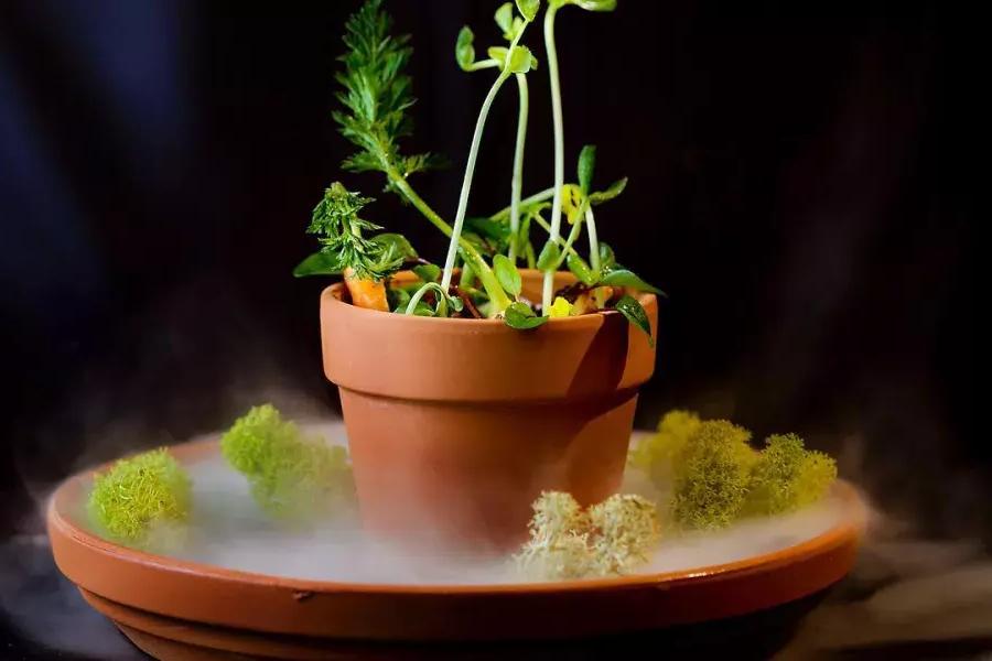 A creative dish that looks像potted plant at Campton Place餐馆in贝博体彩app.