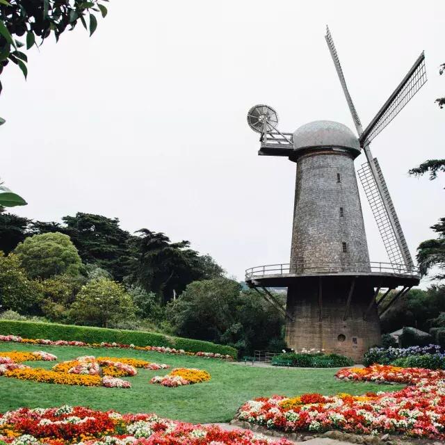 Dutch Windmill in Golden Gate Park